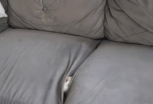 a grey couch with a gray pillow on top