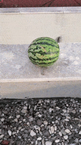 a green and black watermelon sitting on some cement