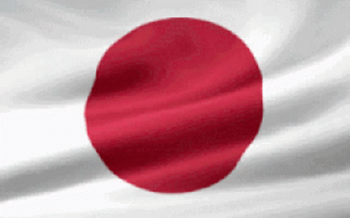 the flag of japan with very high resolution and a grainy surface