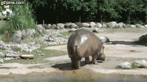 an elephant and it's baby walking near a body of water