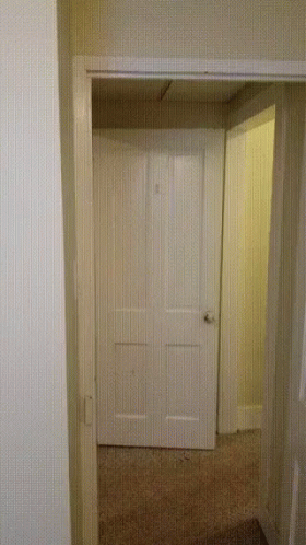 the hallway in this home has two doors and no windows