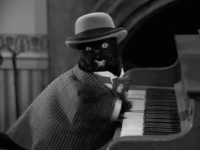 an old po of a cat sitting at a piano