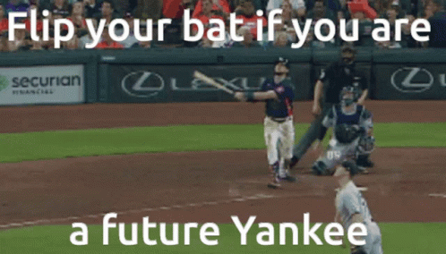 some people playing ball in an outfield with the words a future yankee