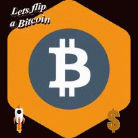 the image shows a picture of a bitcoin