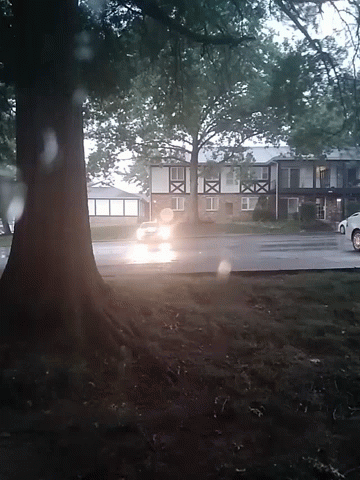 a car is driving along the street behind a tree