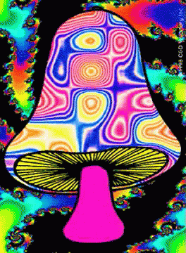 colorful mushroom is on a psychedelic themed background