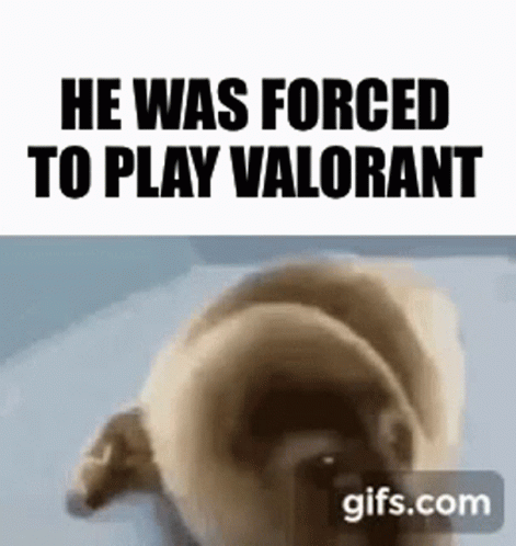 a poster with the text, he was forced to play valorant