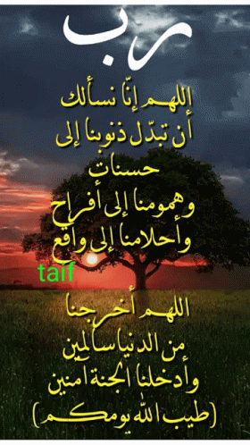 the arabic text on the picture reads, and it is written in two languages