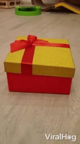 a box with a ribbon is sitting on the floor