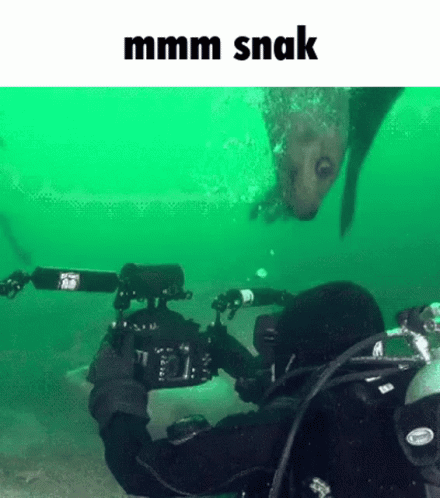 the camera man is wearing scuba gear and crouches under a tank