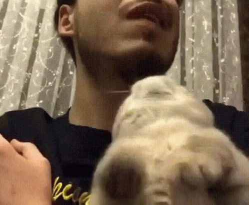 a man holding his dog up to its face