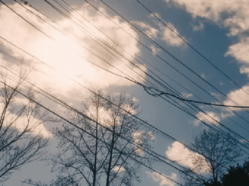 power lines and sky with trees in the foreground