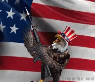 the american flag is decorated with an eagle holding a rifle
