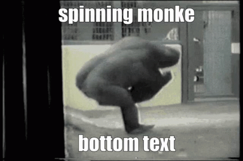 a black and white image with a caption saying spinning monkey