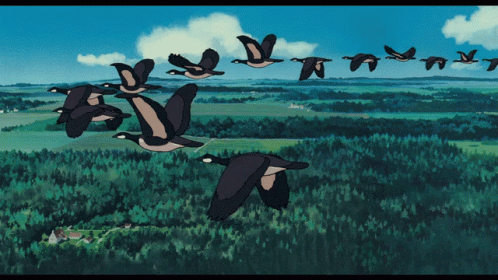 a flock of birds flying over green grass covered hills