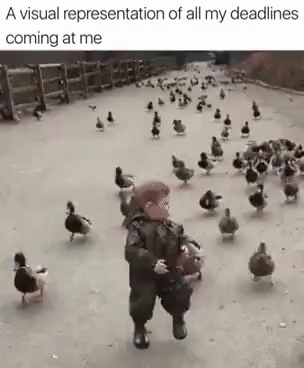 a soldier is standing with ducks in the middle of a street