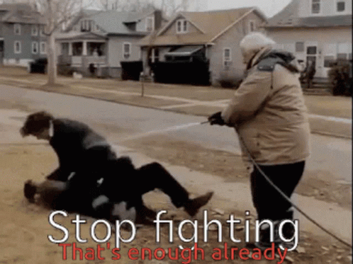 woman using hose to help a dog walk through the street