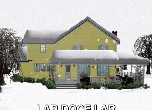 a big house is covered in snow and it says lab doelar