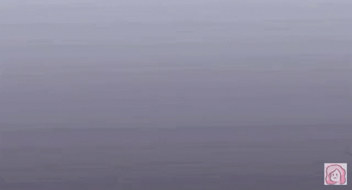 a couple of birds flying through a gray fog filled sky