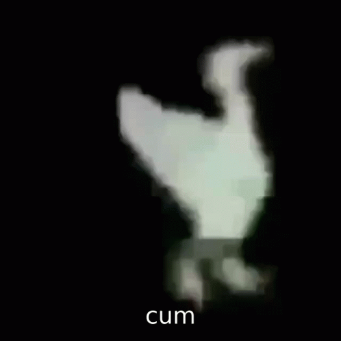 a blurry bird can be seen through a dark background