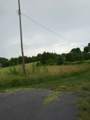 a picture taken from a distance of a road and utility pole