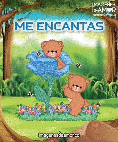 the front cover of a children's book titled me encantass