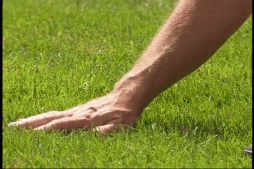 close up view of feet walking on the grass