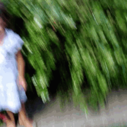 blurry po of a man walking behind a green hedge