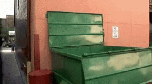 a large green dumpster outside a blue building
