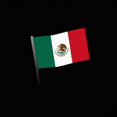 an image of the flag of mexico waving