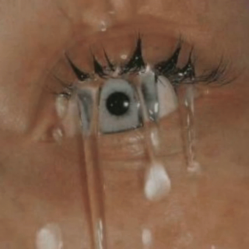 a close up of an eye with very long eyelashes