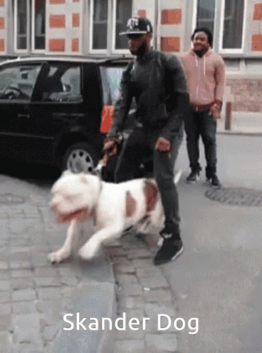 a man walking a dog on a leash down a sidewalk