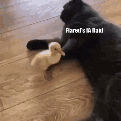 two black and white dogs fighting over a stuffed animal