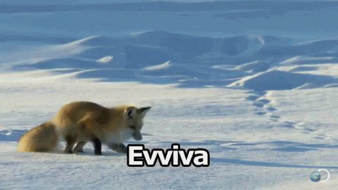 two animals in the snow in front of the words eva