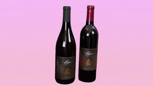 two bottles of wine on a purple background