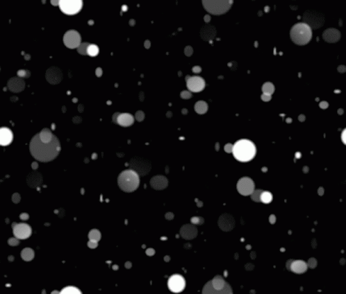 snow fall is falling down from the sky
