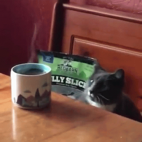 a cat with its head on a coffee cup and a bag of jelly slice