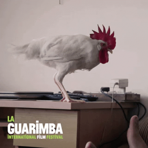 a bird perched on a music device