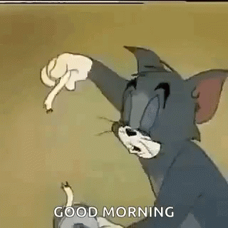 a cartoon cat waving at the camera with a caption saying good morning