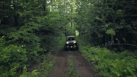 the car is parked alone in the middle of the forest