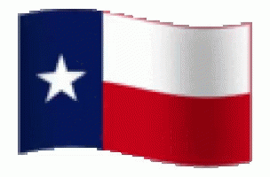 the texas state flag on a white background