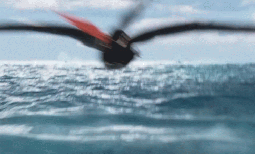 the blurry image of a bird is flying above the water
