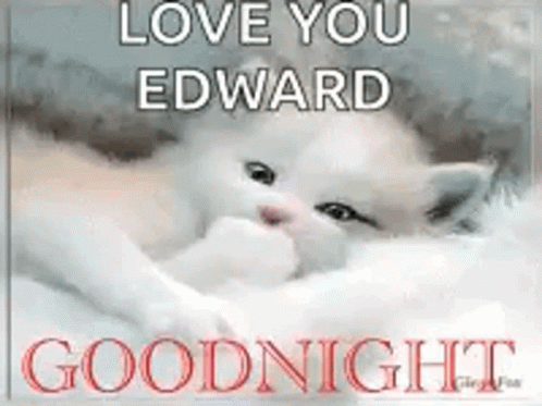 a white cat with an over - sized picture is on the cover of goodnight goodnight goodbye you edward