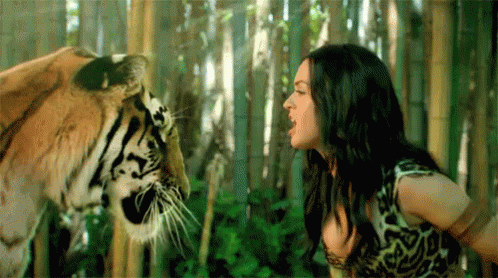 a girl who is looking at a white tiger