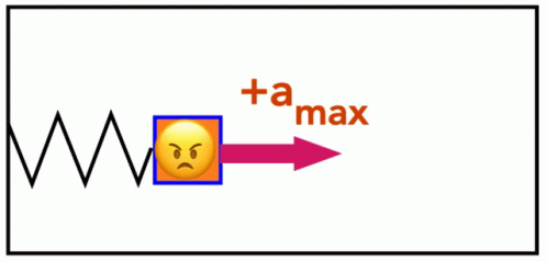 the face with the word't - max'is shown in a box