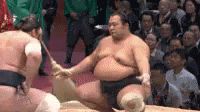 sumo wrestlers perform for spectators in front of an audience