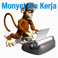 monkey on a computer on a white background