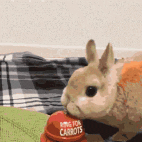 a stuffed rabbit eating food next to a wall