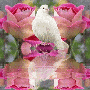 the picture is showing purple flowers and a white bird