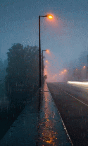 fog rising over a road as rain comes down